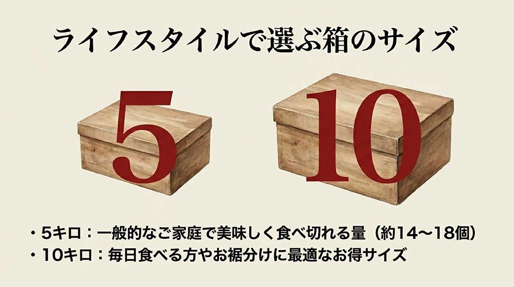 5キロ(約14〜18個)と10キロの箱のイラスト。家庭用とお裾分け用の使い分けガイド