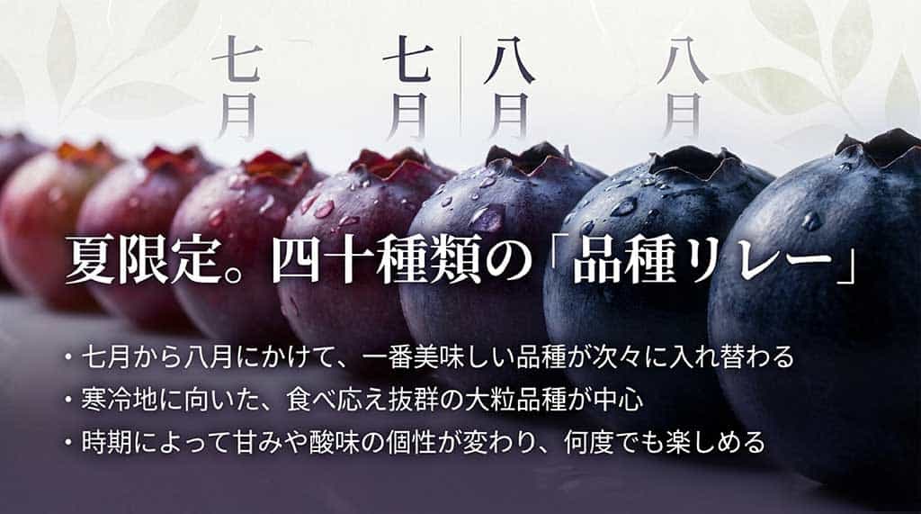 7月から8月にかけて40種類の品種が次々に入れ替わる「品種リレー」の解説。時期によって甘みや酸味の個性が変わることを紹介