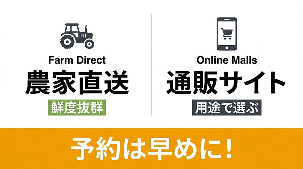 房州びわの購入先として、鮮度を重視する農家直送と用途で選べる通販サイトを比較し、早めの予約を勧める画像