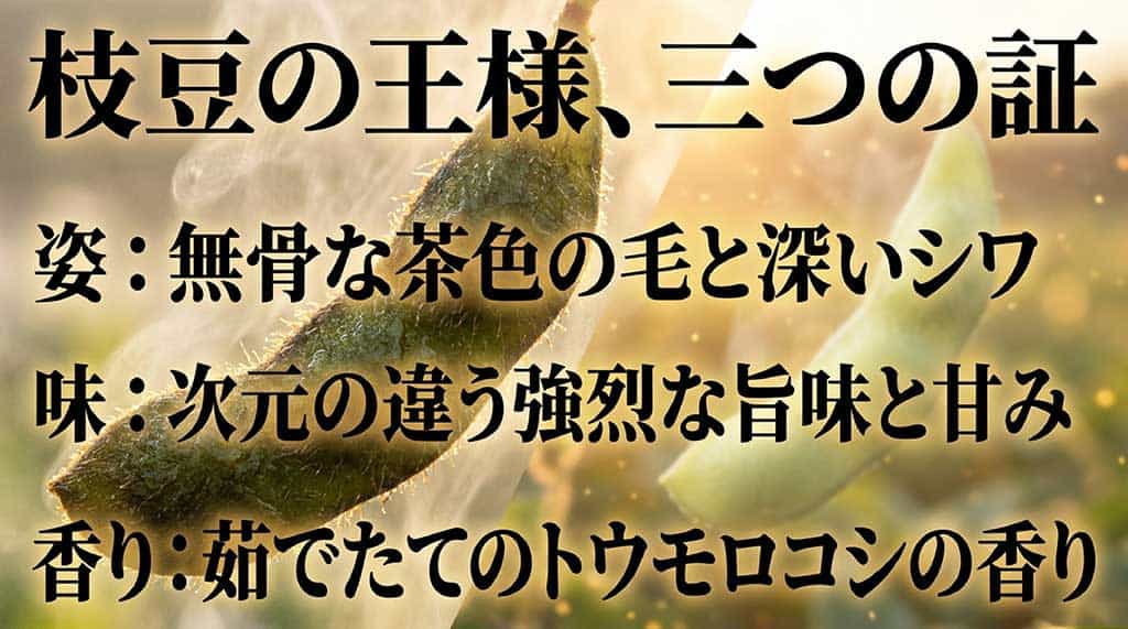 だだちゃ豆の特徴(無骨な茶毛とシワ、強烈な旨味と甘み、トウモロコシのような香り)を説明したスライド画像
