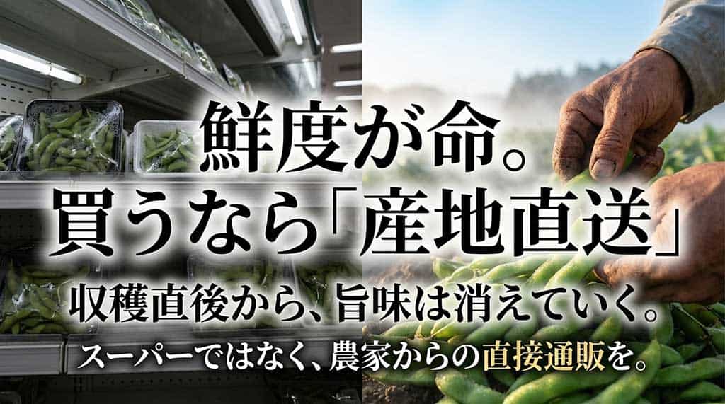 収穫直後から旨味が落ちるため農家からの直接通販をおすすめする理由をまとめたスライド画像