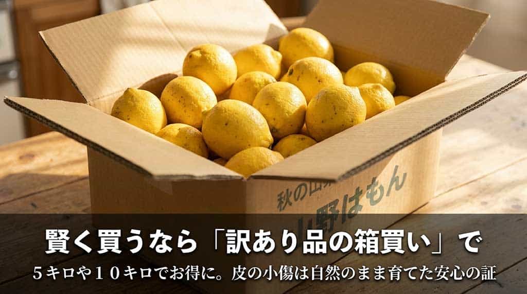 訳あり品の箱買い(5キロ・10キロ)のススメ。皮の小傷は自然に育てた安心の証