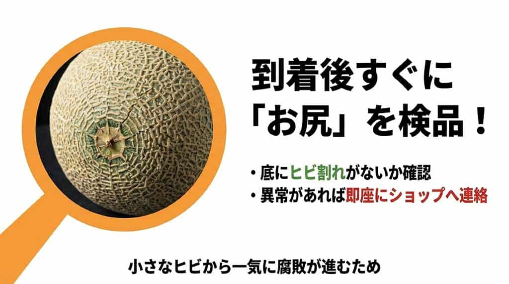 メロンの底(お尻)にヒビ割れがないかを確認する方法と、異常時のショップ連絡について