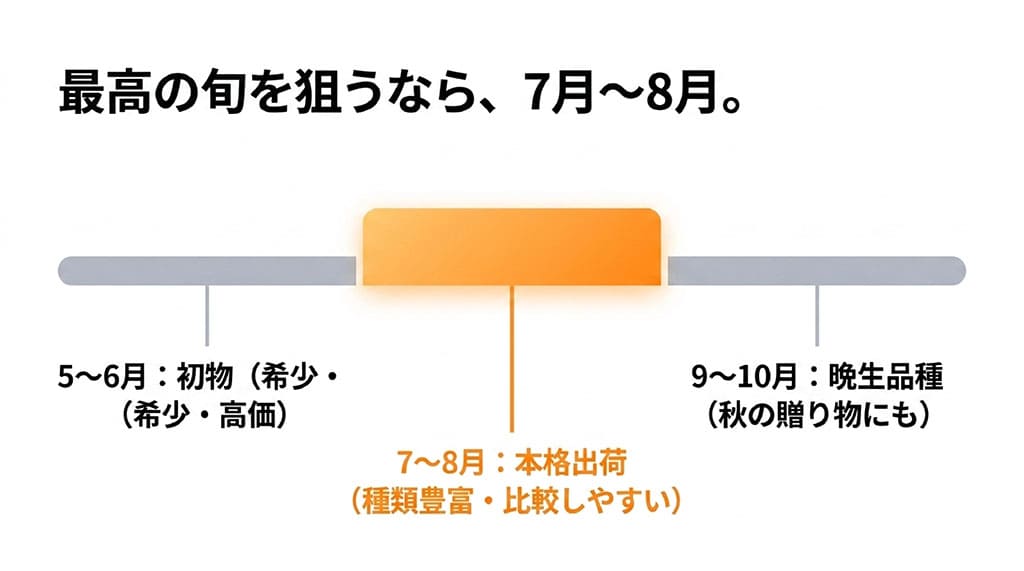 富良野メロンの出荷時期を5~6月、7~8月、9~10月に分け、旬が7~8月であることを示した図