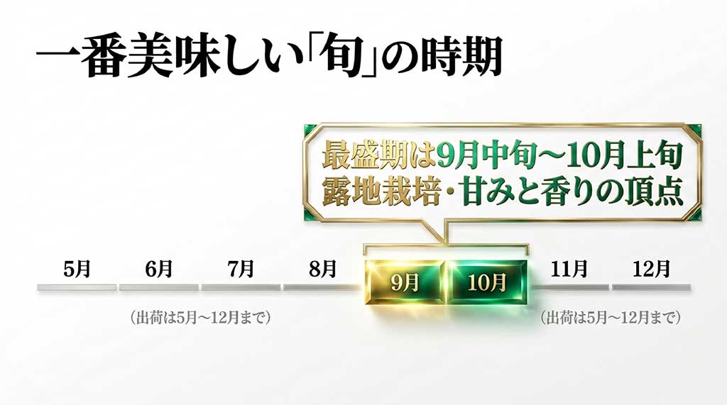 5月から12月までの晴王の出荷時期と9月中旬から10月上旬の最盛期を示すスケジュール画像