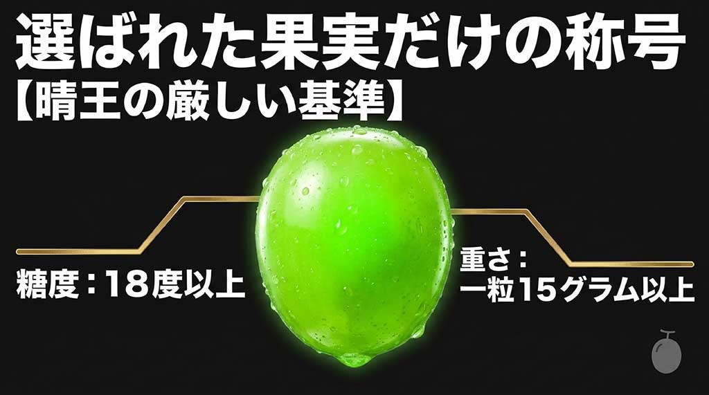 晴王の厳しい選別基準(糖度18度以上、一粒15グラム以上)を示す図解