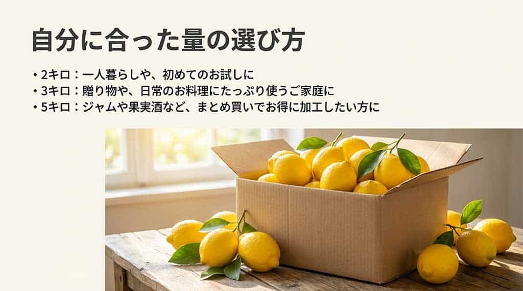 2キロ(一人暮らし)、3キロ(贈り物・日常使い)、5キロ(加工・まとめ買い)の用途別目安。箱に詰まったレモンの写真付き