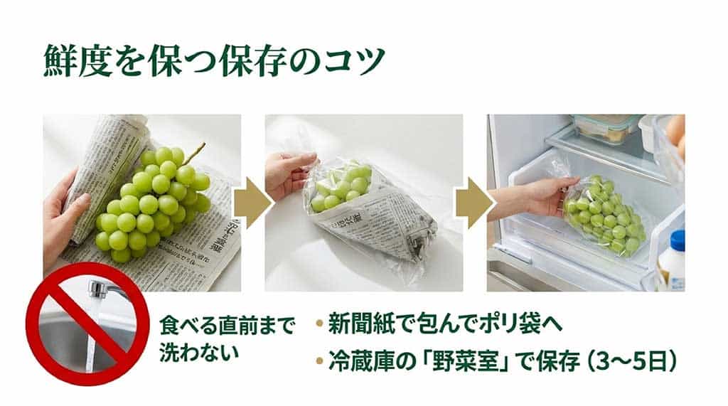 洗わずに新聞紙で包んでポリ袋に入れ、冷蔵庫の野菜室で保存(3〜5日)する方法の解説