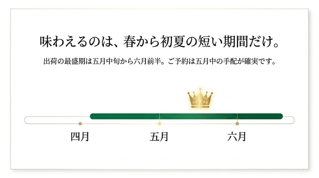 イバラキングの出荷時期が4月下旬から6月頃で、5月中旬から6月前半に旬のピークを迎えることを示した図