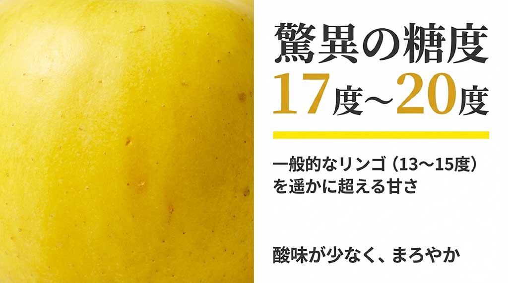一般的なりんご(13〜15度)に対し、糖度17度〜20度を誇る純情はるかの甘さと、酸味が少なくまろやかな特徴の解説