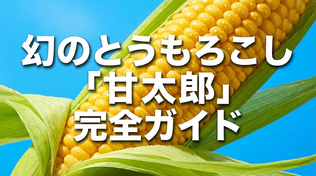 甘太郎とうもろこしの特徴や旬、通販価格、美味しい食べ方を解説する記事のサムネイル
