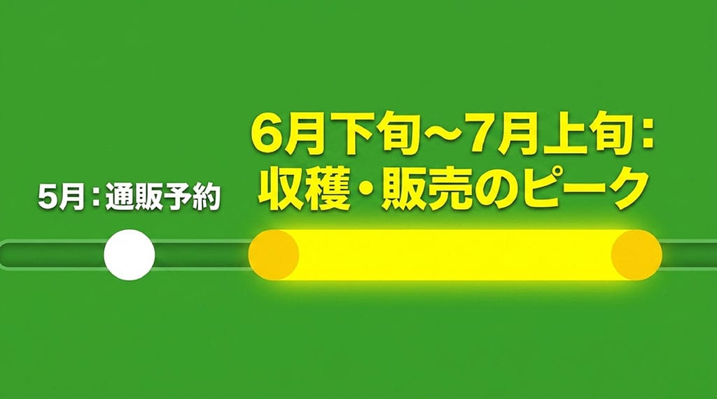 甘太郎は5月頃から通販予約を確認し、6月下旬から7月上旬に収穫と販売のピークを迎える