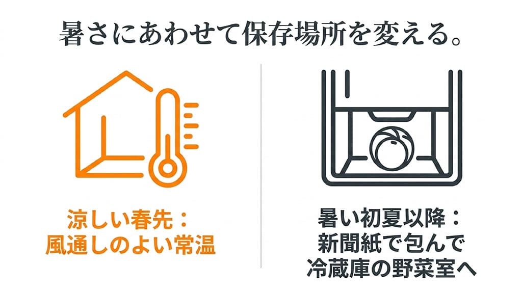 暑さにあわせて保存場所を変える。涼しい春先は風通しのよい常温、暑い初夏以降は新聞紙で包んで冷蔵庫の野菜室へ