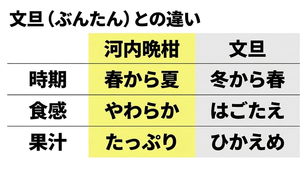 河内晩柑と文旦との違い。時期、食感、果汁の比較