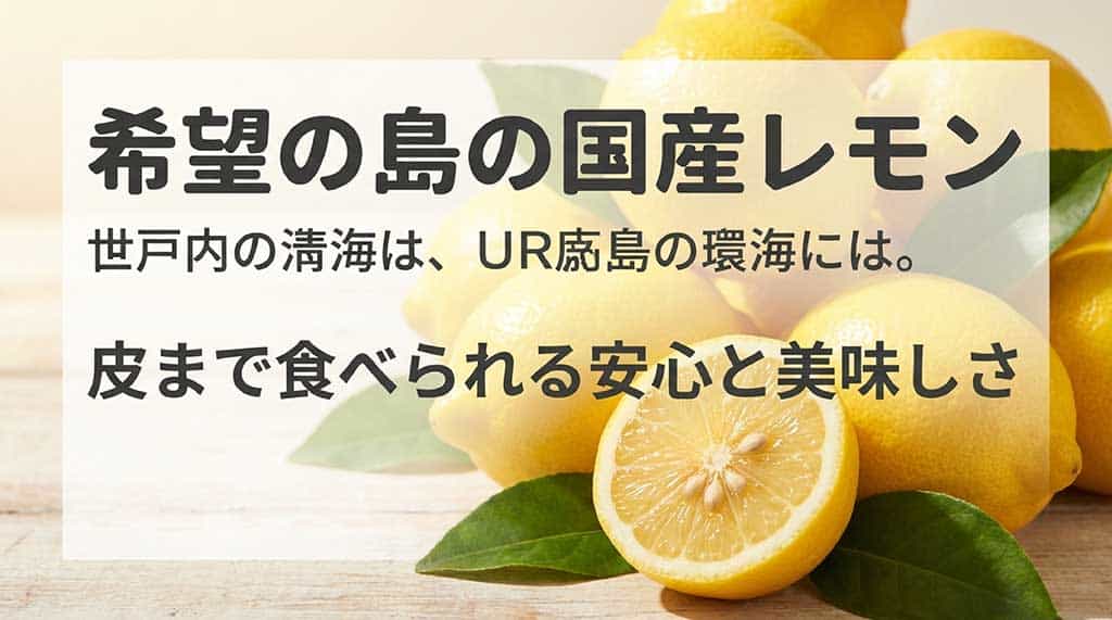 愛媛県中島産の皮まで食べられる安心な国産レモンのイメージ