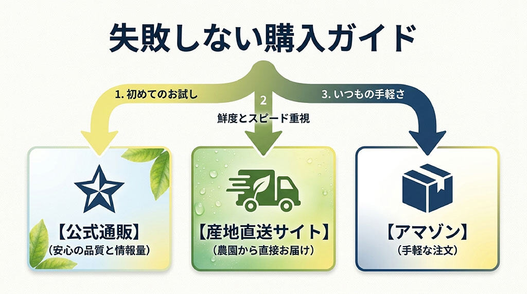 公式通販、産地直送サイト、Amazonを、初回購入の安心感、鮮度と発送速度、注文の手軽さで比較した購入ガイド