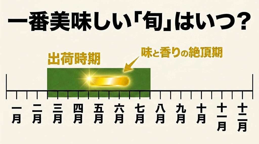 金鑚パインの主な出荷時期は3月から7月で、特に5月から6月ごろが旬の目安であることを示す図