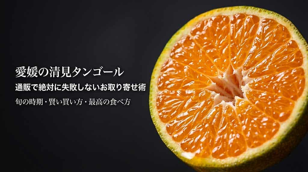 愛媛の清見タンゴール通販で失敗しないお取り寄せ術の表紙画像