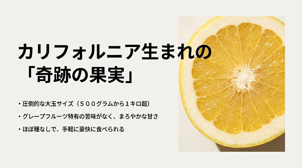 メロゴールドの特徴：大玉サイズ、苦味がない、ほぼ種なし