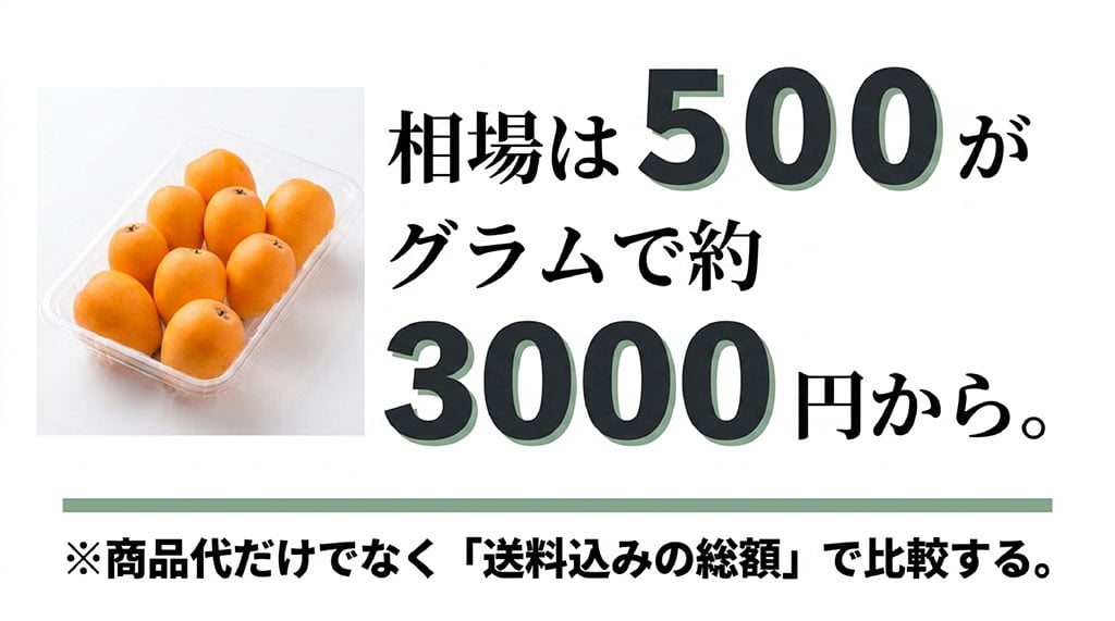 茂木びわ500gの価格は約3000円からで、商品代だけでなく送料込みの総額を比較する説明