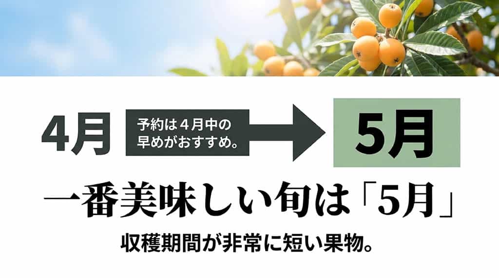 茂木びわは4月中の早めの予約がおすすめで、一番美味しい旬は5月であることを示した図