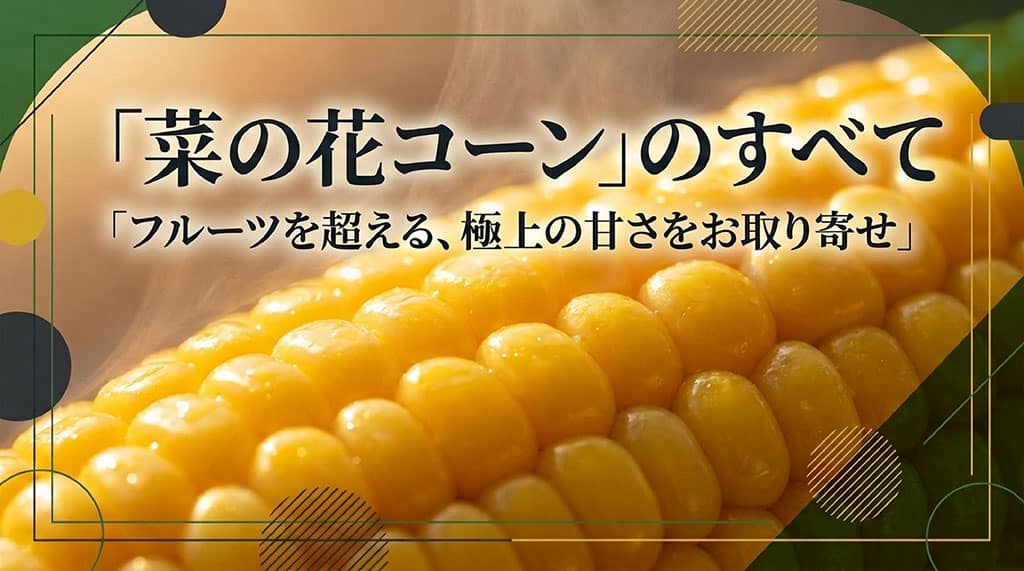 菜の花コーンの特徴や旬、通販、値段、美味しい食べ方を紹介する記事のサムネイル