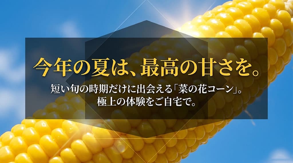 短い夏の旬にだけ出会える甘い菜の花コーンを自宅へ取り寄せる魅力を伝えるまとめ画像