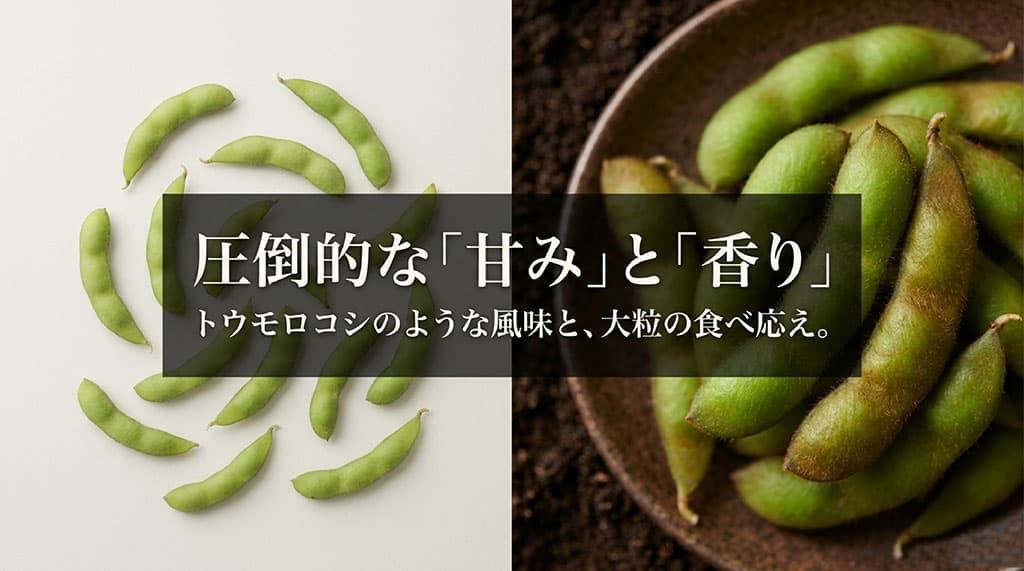 ぴかり茶豆のさやを並べ、濃い甘みと香り、トウモロコシのような風味、大粒の食べ応えを紹介