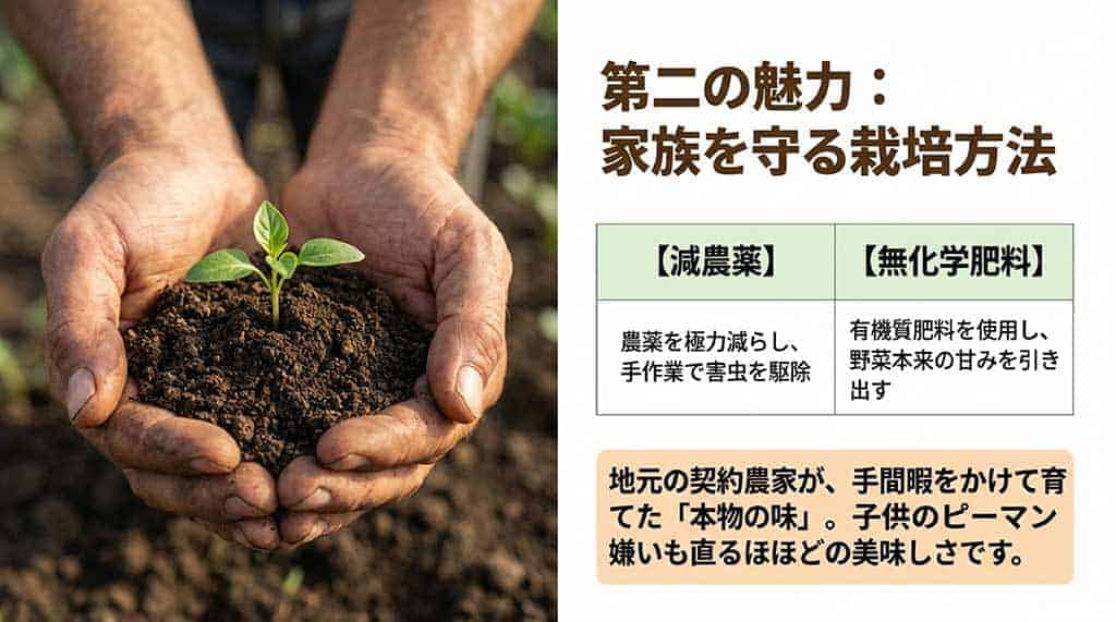手作業での害虫駆除による減農薬、有機質肥料を用いた無化学肥料栽培で野菜本来の甘みを引き出していることを説明するスライド