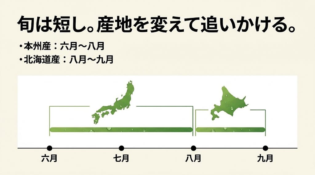 本州産は6~8月、北海道産は8~9月が旬の目安であることを日本地図と時系列で示した図