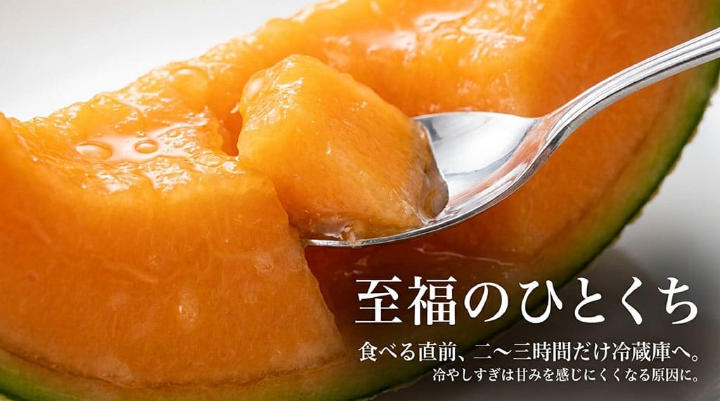 赤肉メロンをスプーンですくう写真と、食べる2~3時間前に冷蔵庫で冷やす方法の説明