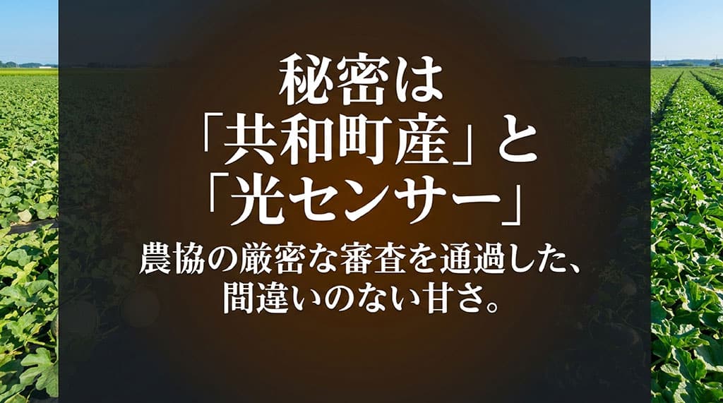 北海道共和町のメロン畑を背景に、らいでんメロンの産地と光センサーによる選果を説明したスライド