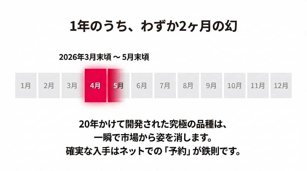 2026年3月末から5月末までの約2ヶ月間限定の販売スケジュールを示すタイムライン図