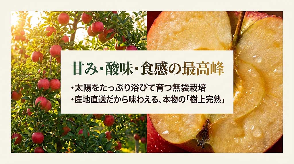 サンふじの3大特徴(甘み・酸味・食感)と、太陽を浴びる無袋栽培、産地直送の樹上完熟について説明するスライド