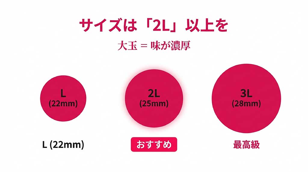 さくらんぼのサイズ(22mm、25mm、28mm)の比較と、大玉が味が濃厚であることの解説