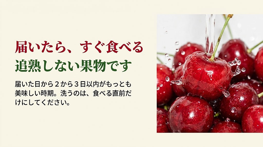 佐藤錦は追熟しないため届いたら2~3日以内に食べること、洗うのは直前であることを説明したスライド画像