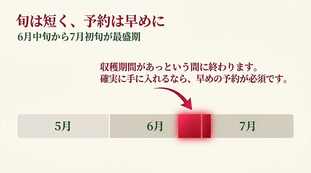 佐藤錦の最盛期である6月中旬から7月初旬のスケジュールと予約の重要性を示す図解スライド
