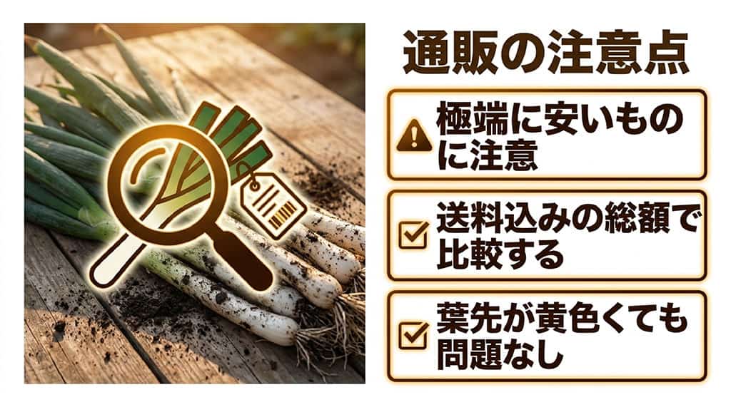 極端に安い商品や送料込み総額、葉先の状態を確認する下仁田ネギ通販の注意点