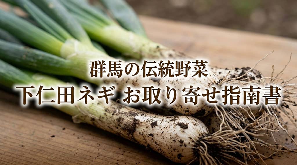 群馬県産の泥付き下仁田ネギと下仁田ネギお取り寄せ指南書の文字