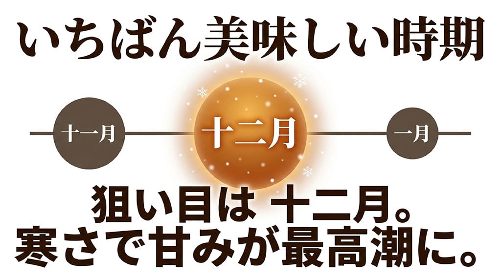 下仁田ネギの収穫時期である11月から1月と甘みが増す12月を示した図