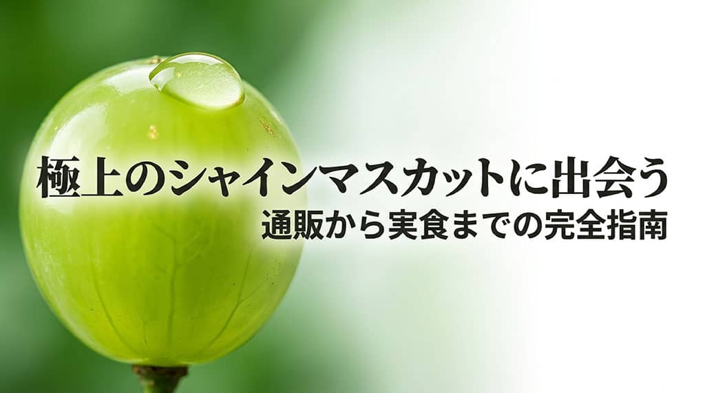 大粒のシャインマスカットを背景に、通販から実食までの完全指南と書かれた記事サムネイル