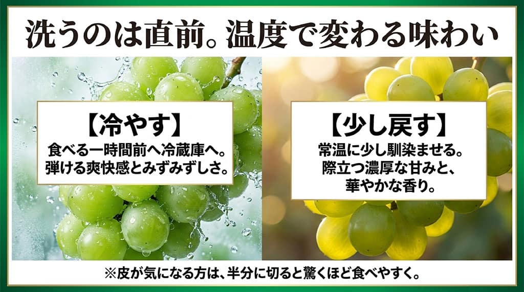 食べる1時間前に冷やす方法と常温に少し戻す方法による、シャインマスカットの食感や甘みの違い