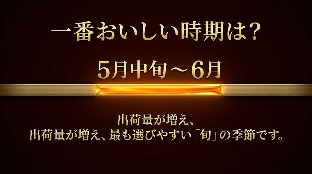 出荷量が増えて最も選びやすい旬の季節である5月中旬から6月を示すイラスト画像