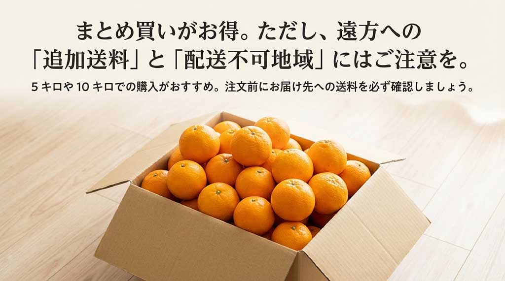 5kgや10kgのまとめ買い推奨と、追加送料・配送不可地域への注意喚起