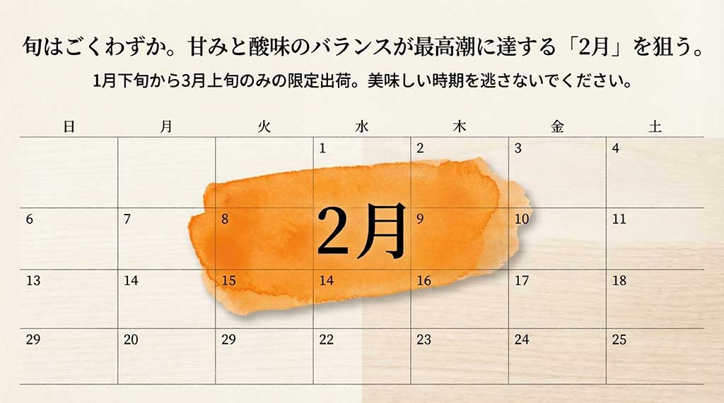 2月が最盛期となるたんかんの出荷時期(1月下旬〜3月上旬)解説