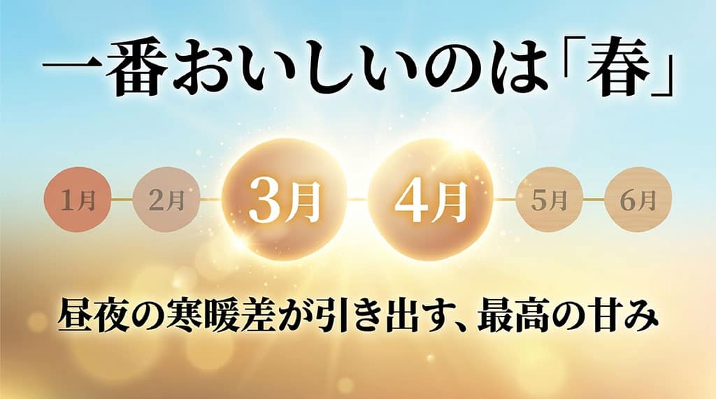 トマランタンの出荷時期である1月から6月のうち、甘味やコクを感じやすい3月と4月を示した図