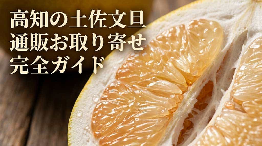高知･土佐文旦を通販お取り寄せ！特徴と旬の時期･選び方まで徹底解説