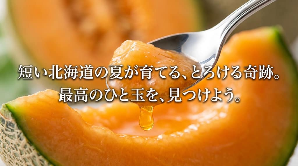 スプーンですくった夕張メロンの果肉と、最高のひと玉を見つけようというメッセージ