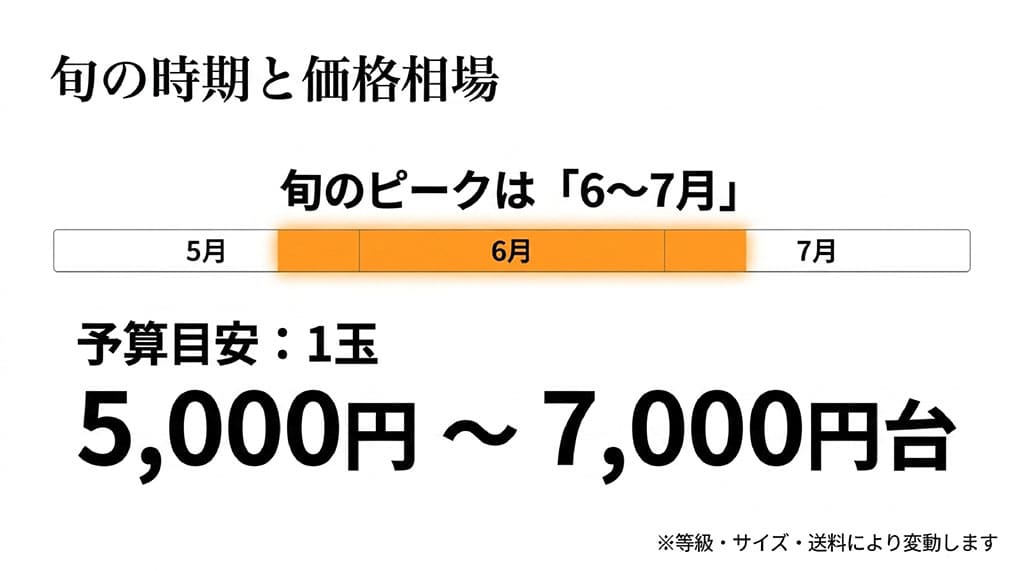 夕張メロンの旬が6月から7月で、1玉の予算目安が5000円から7000円台であることを示した図